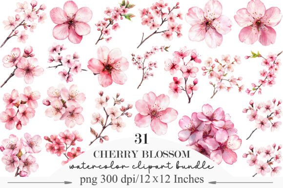 Download Watercolor Cherry Blossom Clipart - Art Collection