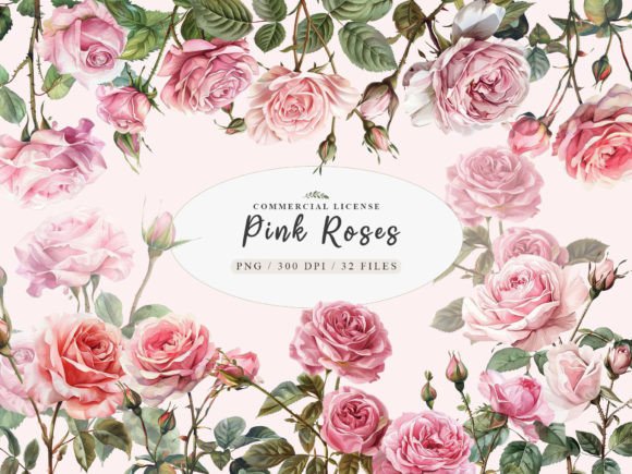 Download Watercolor Pink Rose Clipart, Blush Rose - Blush Collection