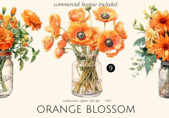 Download Orange - Premium Bundle