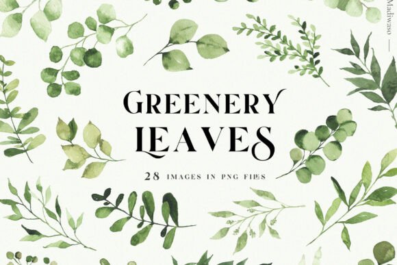 Download Green Leaves Watercolor Clipart Foliage - Art Collection