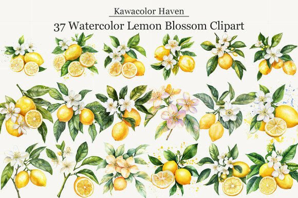 Download Watercolor Lemon Blossom Clipart - Art Collection