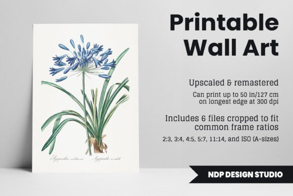 Download Vintage Botanical Printable Wall Art - Art Collection